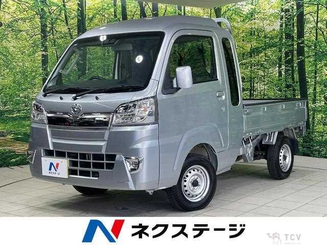 2018 Daihatsu Hijet Truck