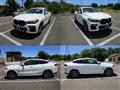 2020 BMW X6
