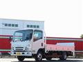 2021 Isuzu Elf Truck