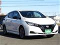 2021 Nissan Leaf