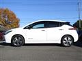 2021 Nissan Leaf