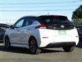 2021 Nissan Leaf