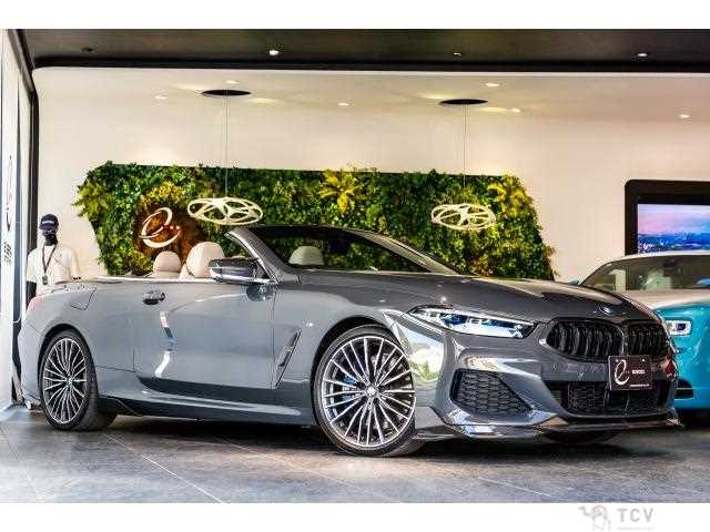 2019 BMW 8 Series