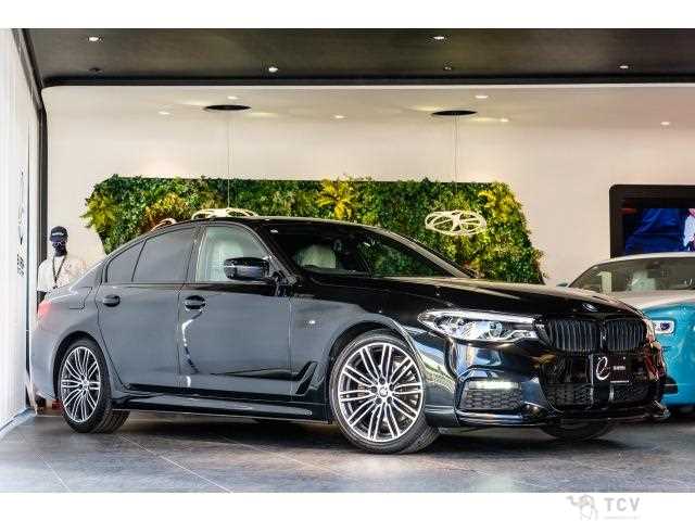 2019 BMW 5 Series