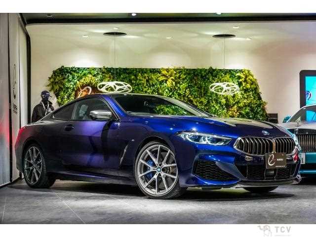 2019 BMW 8 Series