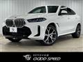 2023 BMW X6