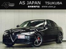 2019 Alfa Romeo Alfa Romeo Others