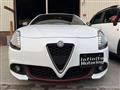 2017 Alfa Romeo Alfa Romeo Others