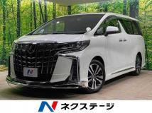 2019 Toyota Alphard G
