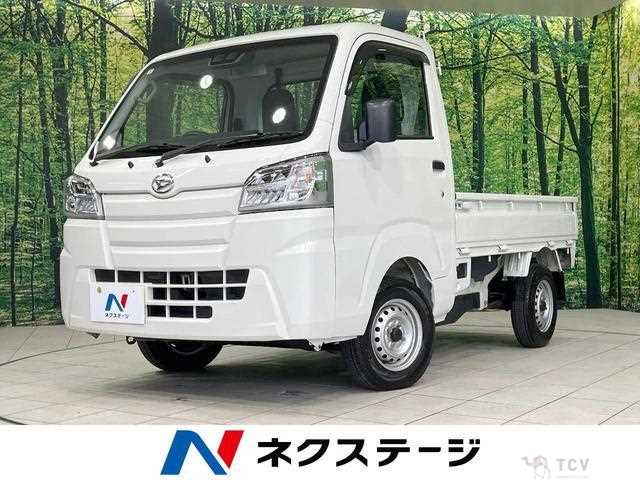2020 Daihatsu Hijet Truck