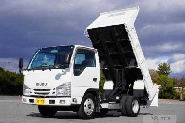 2020 Isuzu Elf Truck