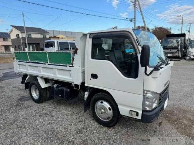 2017 Isuzu Elf Truck