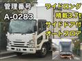 2019 Isuzu Elf Truck
