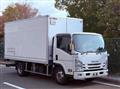 2019 Isuzu Elf Truck