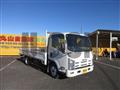 2007 Isuzu Elf Truck