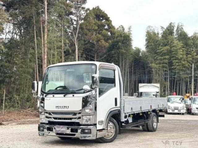 2015 Isuzu Elf Truck