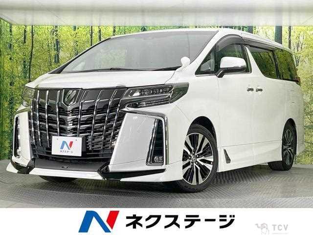 2019 Toyota Alphard G
