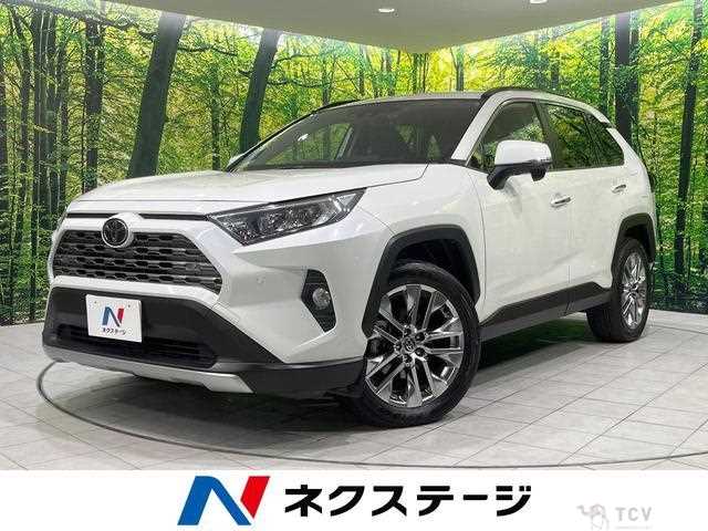 2019 Toyota RAV4