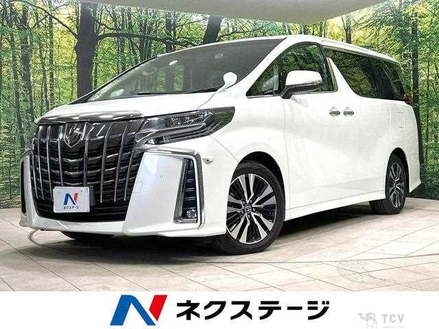 2019 Toyota Alphard G