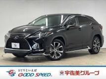 2020 Lexus RX
