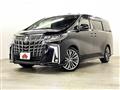 2019 Toyota Alphard G