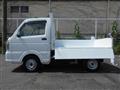 2019 Suzuki Carry Truck
