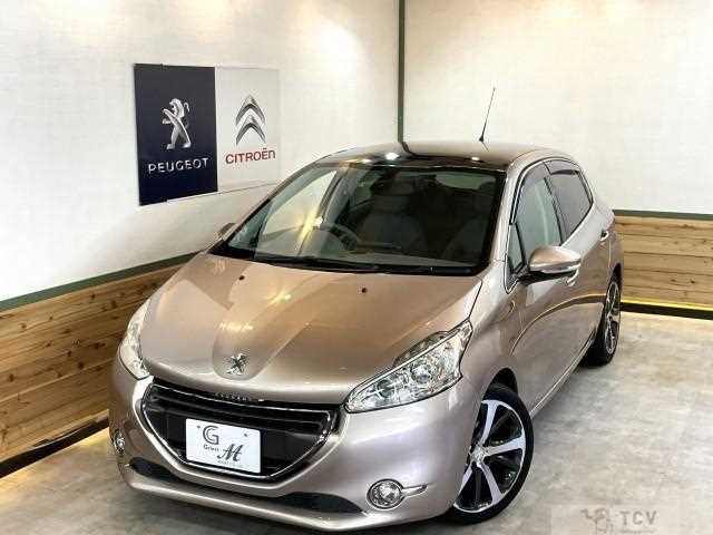 2013 Peugeot Peugoet Others