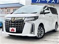 2020 Toyota Alphard G