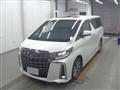 2021 Toyota Alphard G