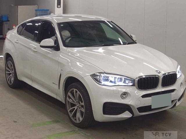 2019 BMW X6
