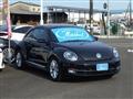 2014 Volkswagen Beetle