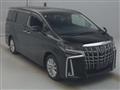 2020 Toyota Alphard G