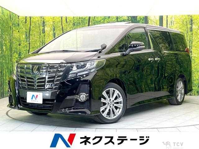 2016 Toyota Alphard G
