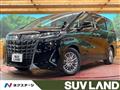 2020 Toyota Alphard G