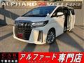 2020 Toyota Alphard G