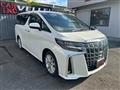 2019 Toyota Alphard G