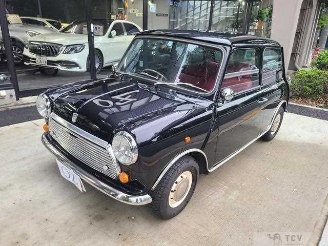 1991 Rover Mini