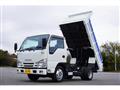 2020 Isuzu Elf Truck