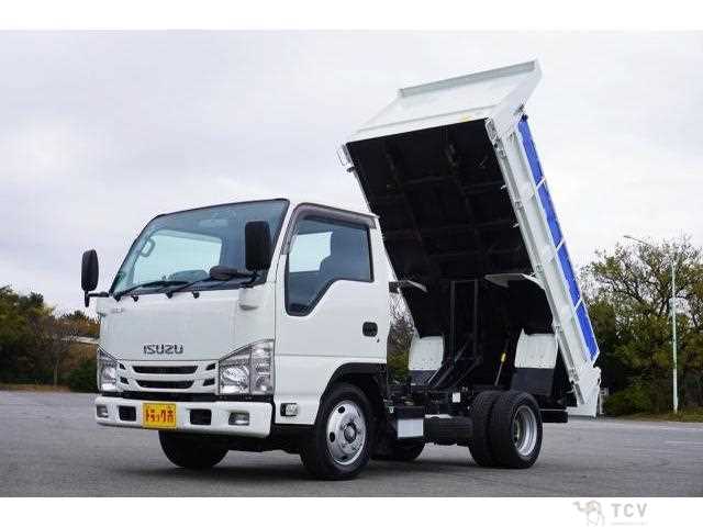 2020 Isuzu Elf Truck