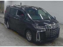 2019 Toyota Alphard G