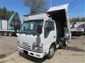 2017 Isuzu Elf Truck