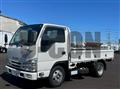 2020 Isuzu Elf Truck