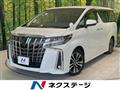 2019 Toyota Alphard G