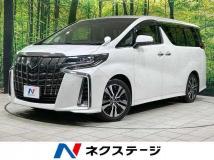 2019 Toyota Alphard G