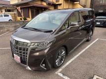 2023 Toyota Alphard G