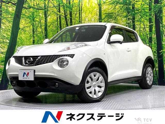 2011 Nissan Juke