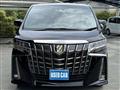 2020 Toyota Alphard G