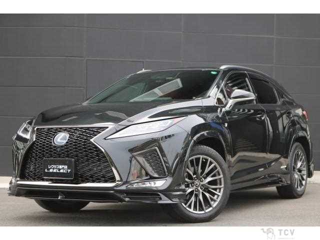 2019 Lexus RX