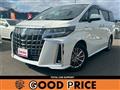 2019 Toyota Alphard G