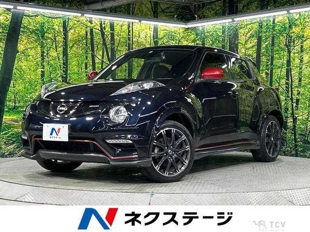 2014 Nissan Juke